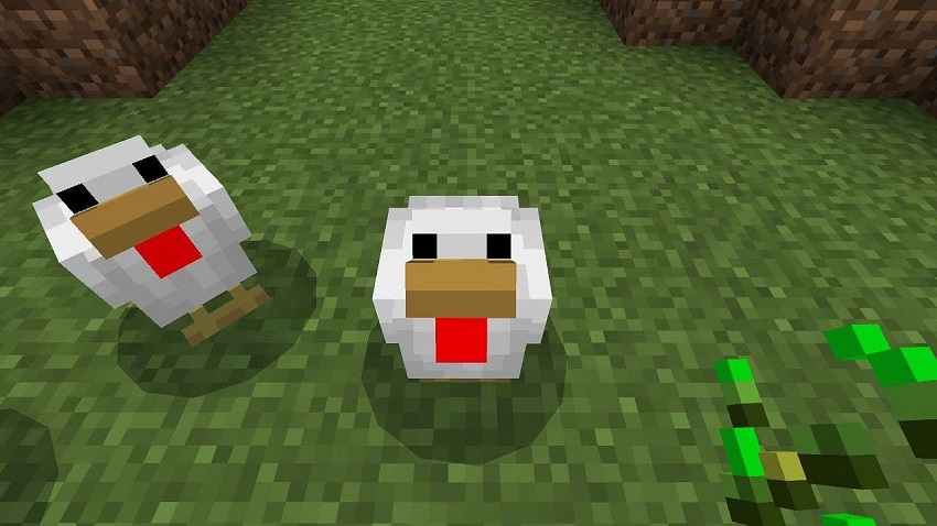 How do you take care of chickens in Minecraft