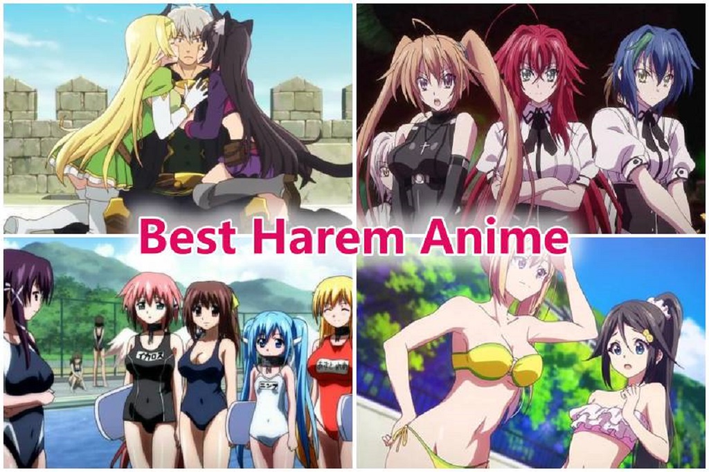 What is the Best Harem on Netflix? Exploring the Ultimate Binge-Worthy Selection